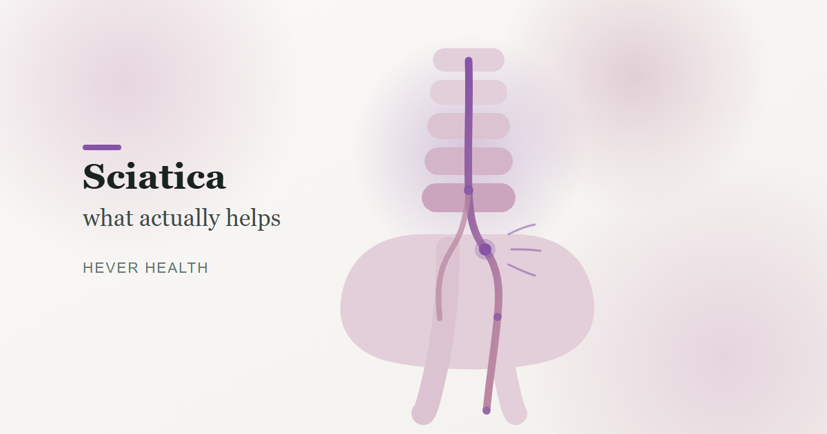 Stylised illustration of the sciatic nerve path from the lower spine down the leg
